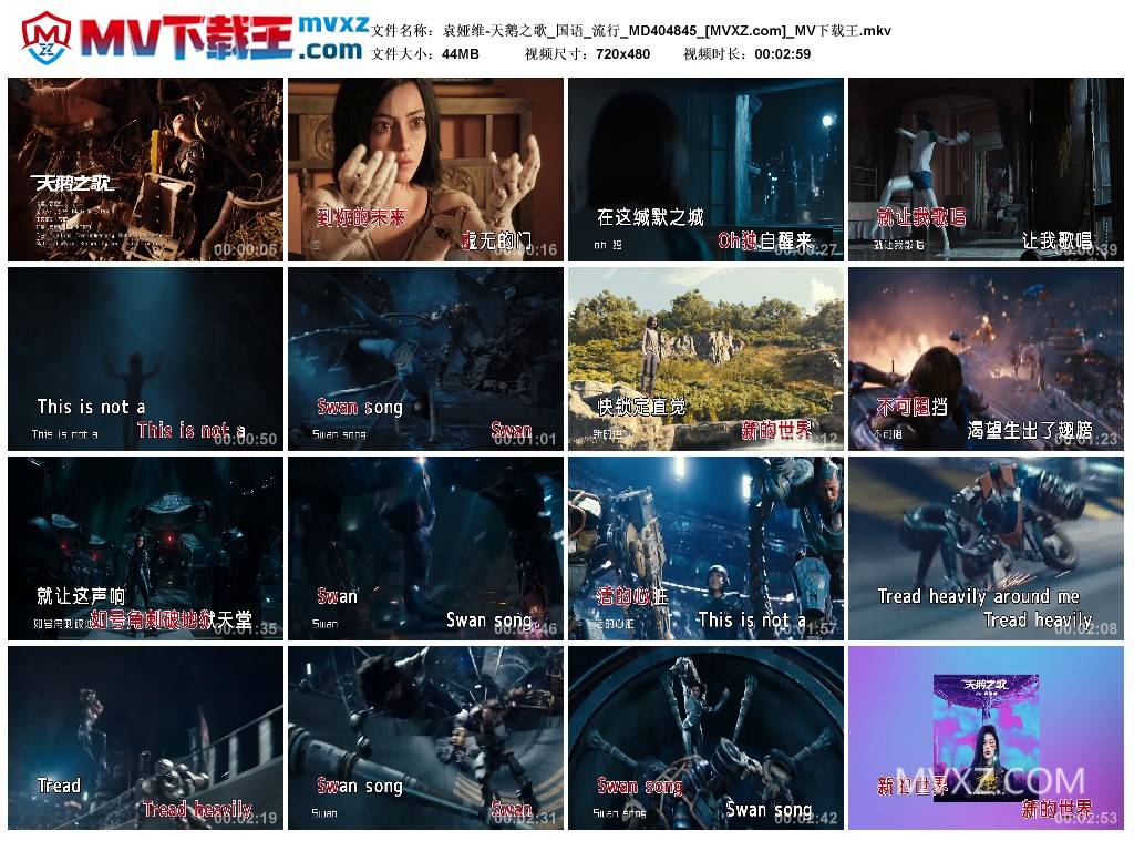 袁娅维-天鹅之歌_国语_流行_MD404845